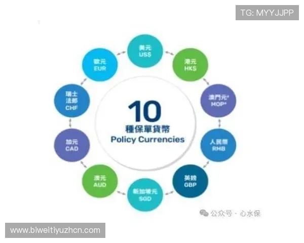 必赢的关键因素：如何在激烈的市场中稳占优势位置