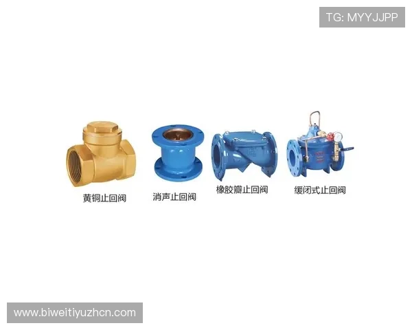 kp体育平台的客户服务与技术支持体系,确保用户在使用过程中获得及时帮助 kp体育平台的客户服务与技术支持体系,确保用户在使用过程中获得及时帮助