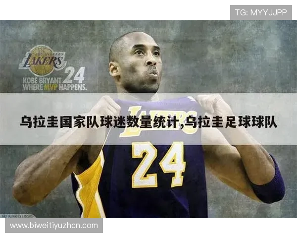 V站足球官网提供最全的球队资料和球员数据帮助球迷深入了解每场比赛的详细信息