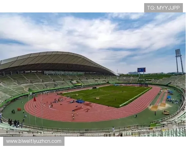 三亿体育链接助力用户畅享最新体育赛事资讯与精彩直播体验的全面指南