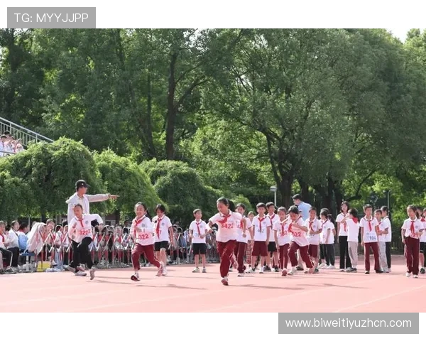 乐动全体育在青少年体育培训中的实践经验与未来发展规划