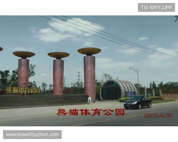 如何利用熊猫体育平台获取专业的体育赛事分析与评论
